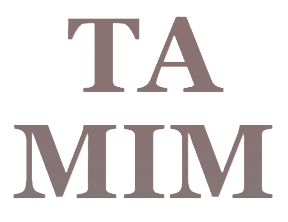 Tamim's Portfolio Website